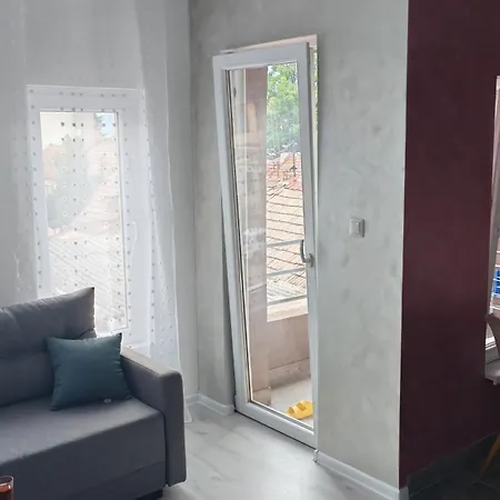 Lion * Вишеград