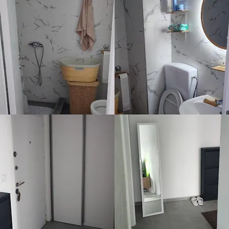 Апартаменты Lion *